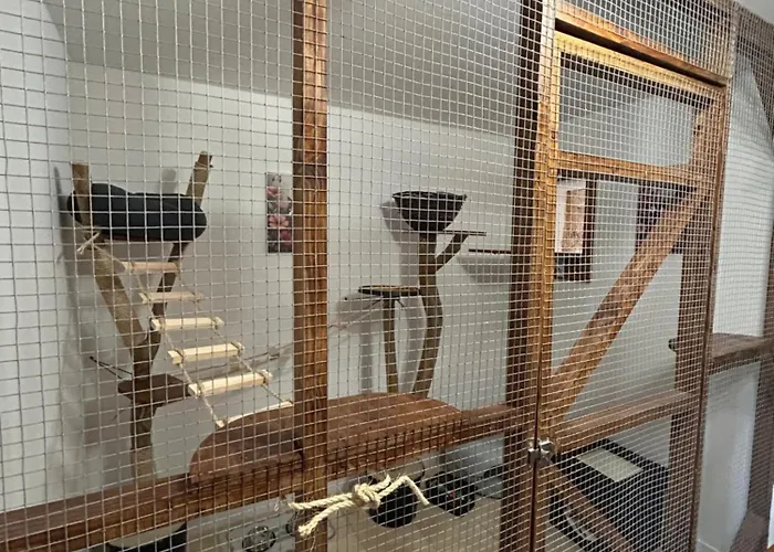 Villa Chateau De La Ricardie Beautiful Rural Liorac-sur-Louyre